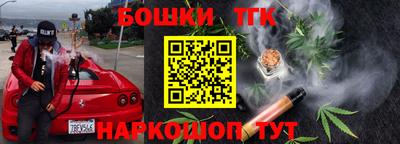 гидра Заводоуковск