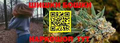 гидра Заводоуковск