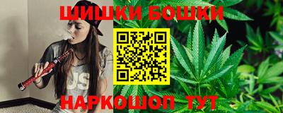 гидра Заводоуковск